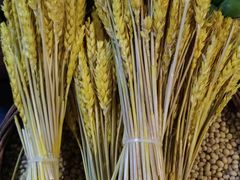 -滇铺子·云南特色菜·第九届野生菌美食节(东风东路c86店)