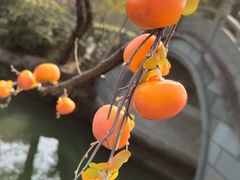 -韩湘水博园