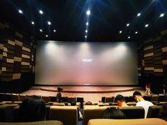 -武商摩尔影城(国广IMAX激光店)