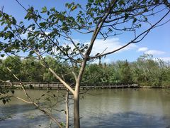 -溱湖国家湿地公园