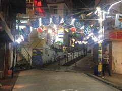 -猫咪博物馆(顶澳仔猫街店)