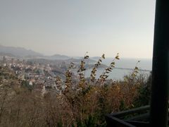 -石老人观光园