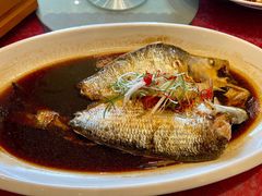 红蒸鲜鲥鱼-名豪品鲜荟(云亭店)