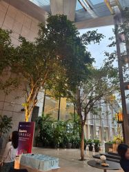 点击看大图 -深圳柏悦酒店·宴会厅