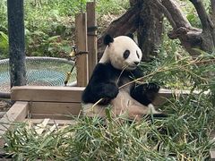 -广州长隆野生动物世界
