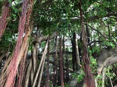 -胡里山炮台