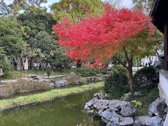 -秋霞圃