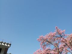 -珠海圆明新园