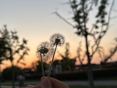 -苏州阳澄半岛英迪格酒店
