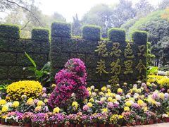 -汇龙潭