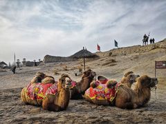 -镇北堡西部影城