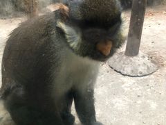 -南昌动物园
