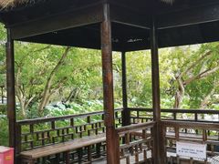 -上海醉白池公园