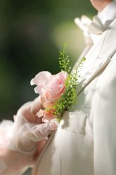 -金夫人婚纱摄影(华南店)