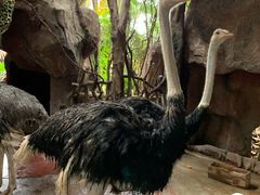 -长鹿旅游休博园