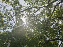 -汤臣海派理疗公馆