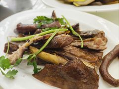 鹅掌翼-日日香卤鹅饭店·澄海狮头鹅(澄海店)
