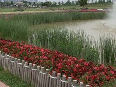 -雅和睿景·商务宴·风味土窑鸡(花博汇店)
