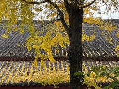-成都市文殊院