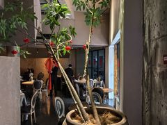 -鲨鱼餐厅.海景川粤餐厅(重庆天地店)