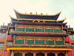 -塔尔寺-菩提树