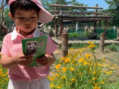 -大连森林动物园