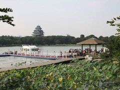 -金鸡湖桃花岛