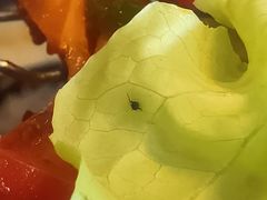 -金牌老碗时尚陕菜(王府井百货店)