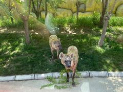 -北京野生动物园