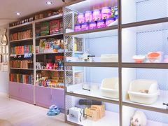 -喵的天空名猫咖啡馆·撸猫·猫舍·用品
