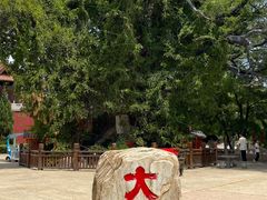 -大槐树寻根祭祖园