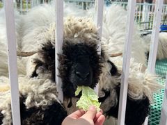 -水上乐园·欢乐世界