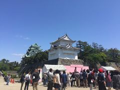 -名古屋城