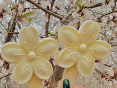 -桃花堤公园