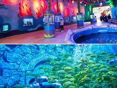 -横店影视城梦幻谷园区