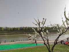-洨河生态公园