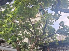 -东莞市可园博物馆