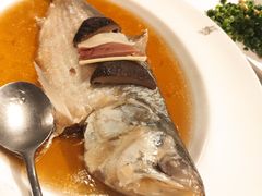 招牌中式清蒸鲥鱼-苏浙汇(古北店)