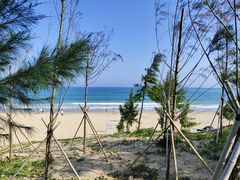 -西涌国际滨海旅游区