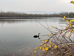 -颐和园