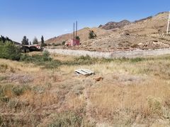 -新疆天山野生动物园