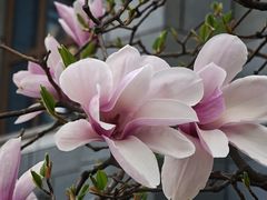 -中粮·祥云小镇