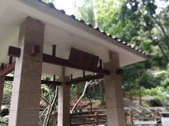 -火炉山森林公园