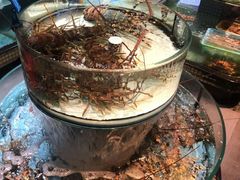 -强记海鲜·大排档(蛇口新街店)