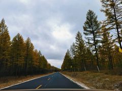 -塞罕坝国家级自然保护区