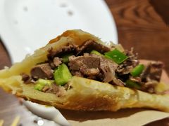 -王记驴火河间驴肉火烧(长青店)