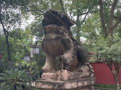 -房湖公园