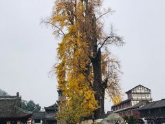 -崇州市街子古镇