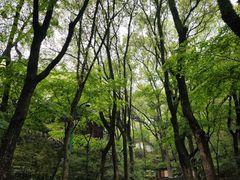 -宁波市保国寺古建筑博物馆