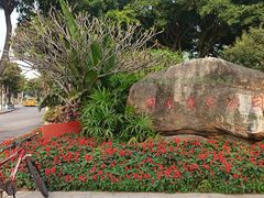 -白鹭洲公园